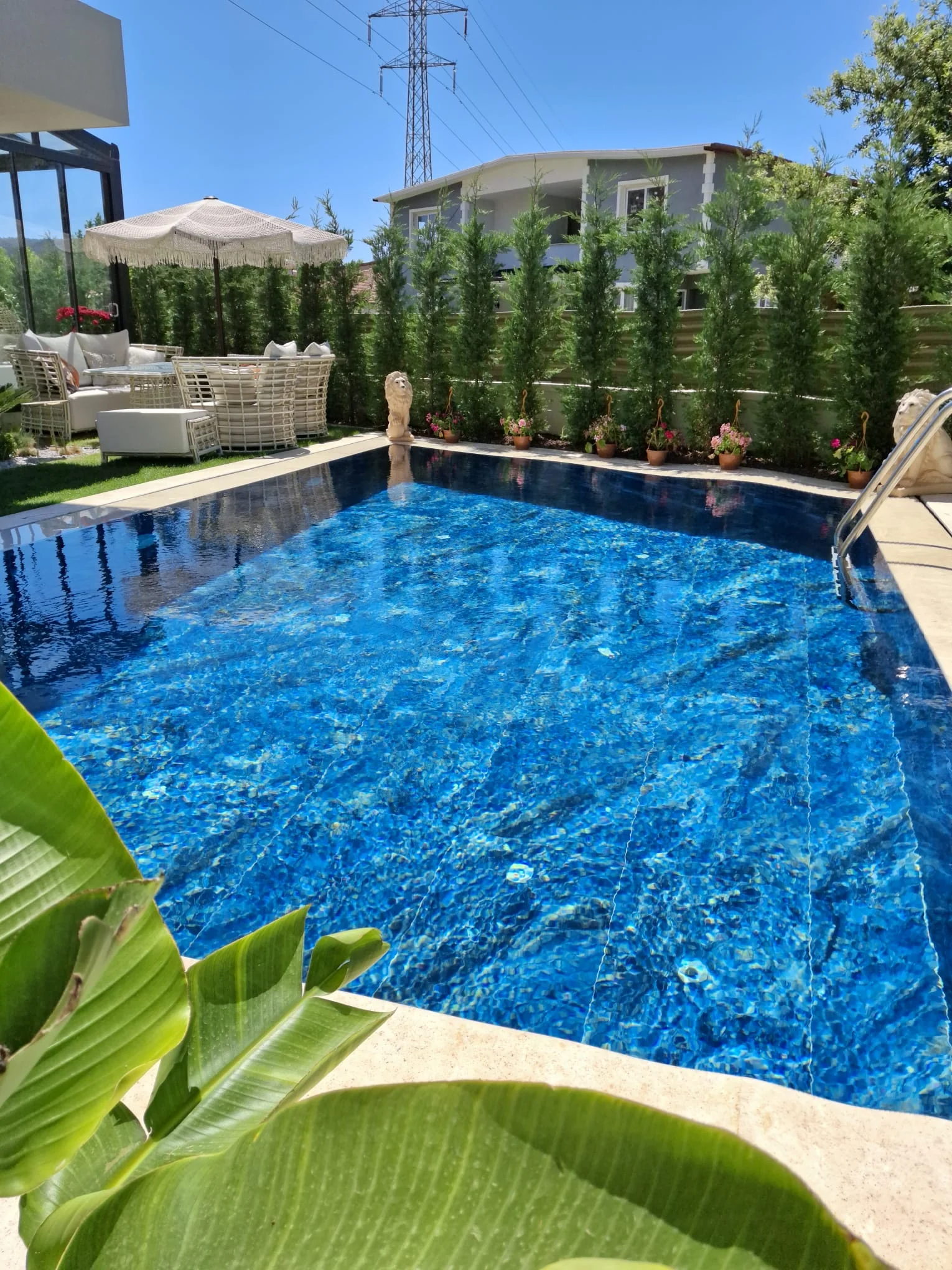 Clear pool water after Valentek intervention