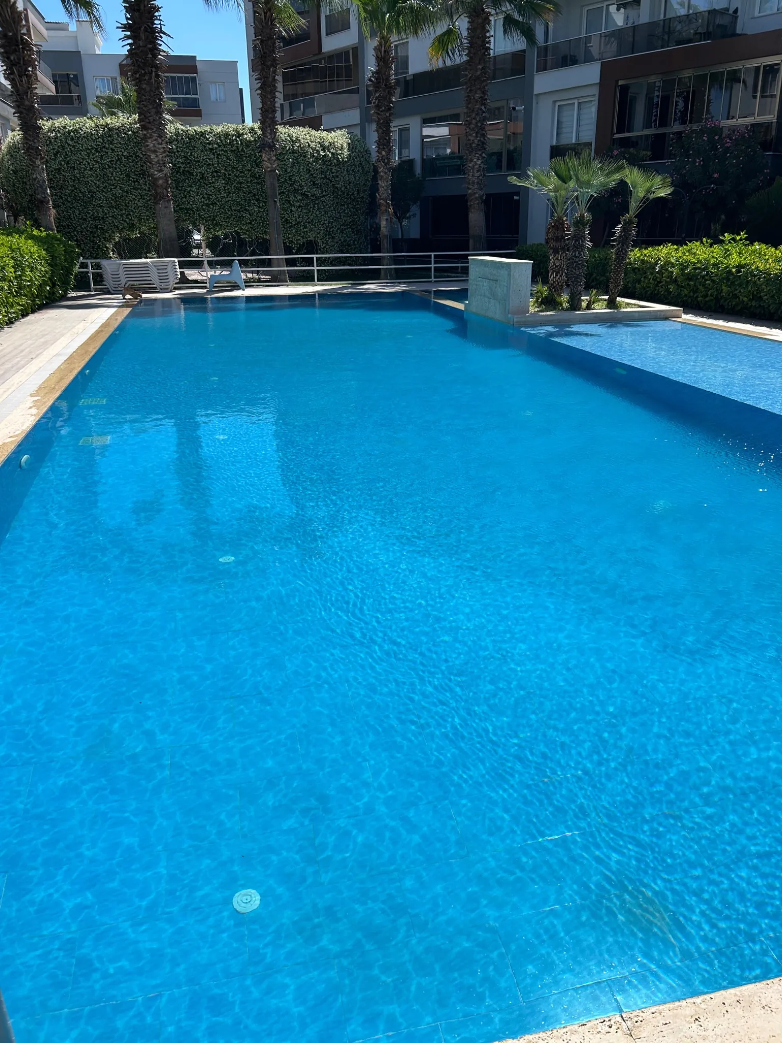 Clear swimming pool serviced by Valentek